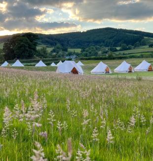 Meadow of Tents